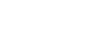 Cyber Partners Logo